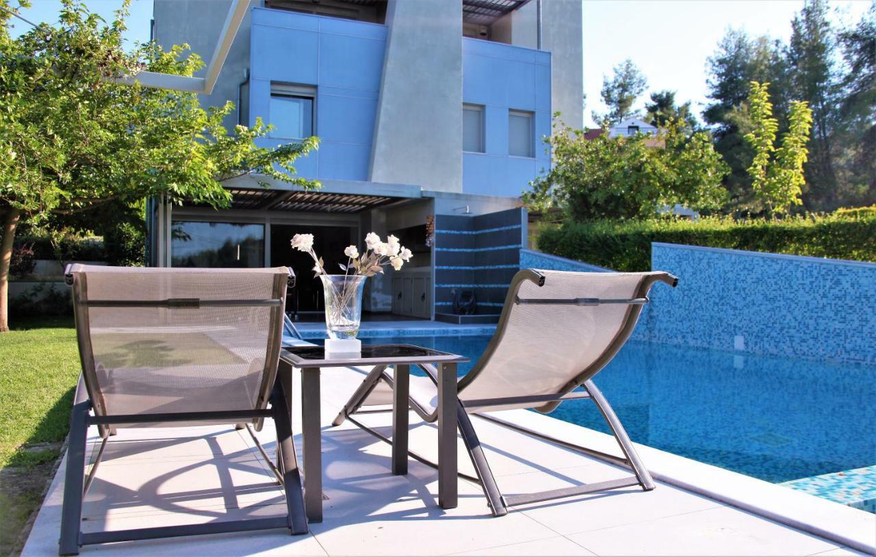 Deluxe Chrousso Pool Villa Paliouri Buitenkant foto